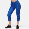 Cobalt Cat Capri