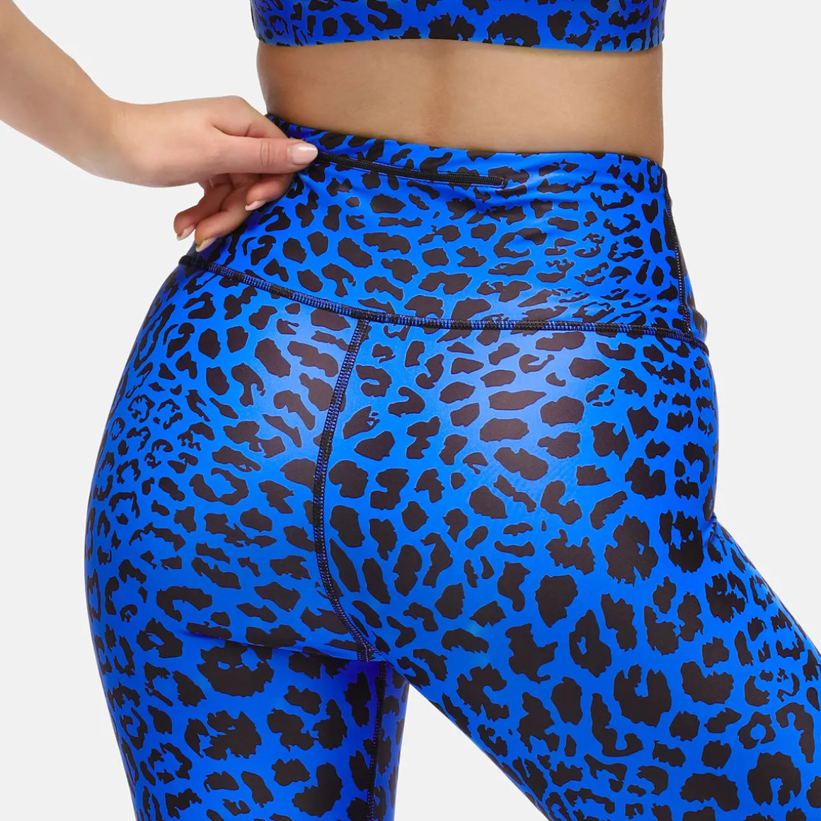 Cobalt Cat Leggings